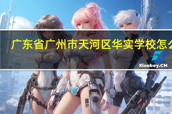 广东省广州市天河区华实学校怎么样