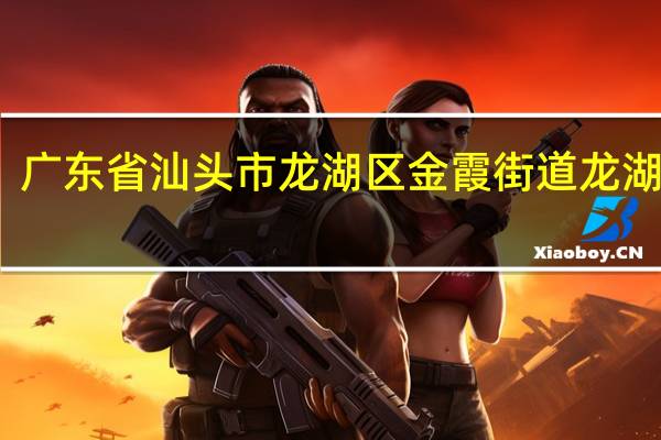 广东省汕头市龙湖区金霞街道龙湖新村（广东省汕头市）
