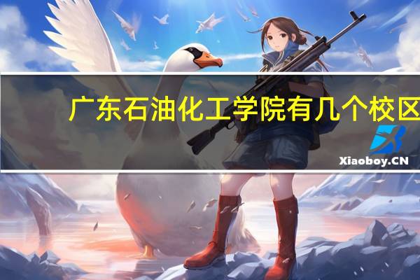 广东石油化工学院有几个校区