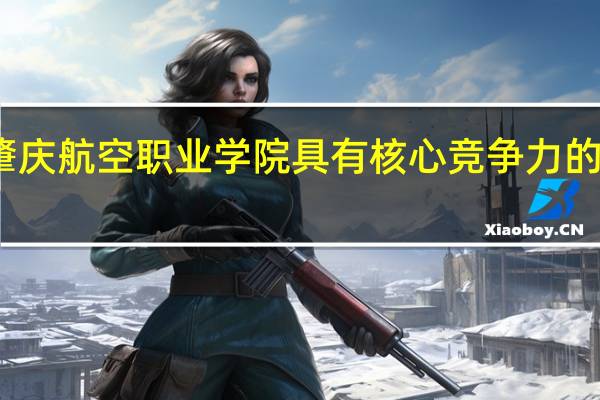 广东肇庆航空职业学院具有核心竞争力的专业有哪些