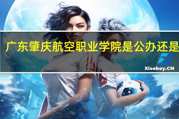 广东肇庆航空职业学院是公办还是民办