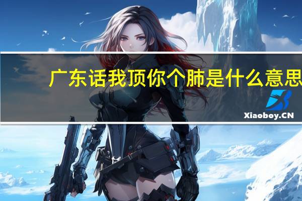 广东话我顶你个肺是什么意思（顶你个肺是什么意思）
