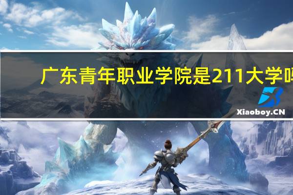 广东青年职业学院是211大学吗