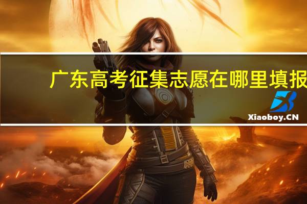 广东高考征集志愿在哪里填报