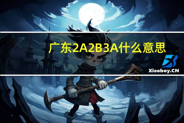 广东2A2B3A什么意思