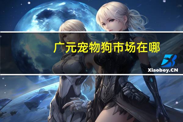 广元宠物狗市场在哪