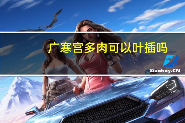 广寒宫多肉可以叶插吗