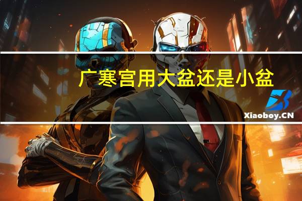 广寒宫用大盆还是小盆