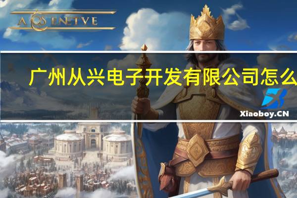 广州从兴电子开发有限公司怎么样（广州从兴电子开发有限公司）