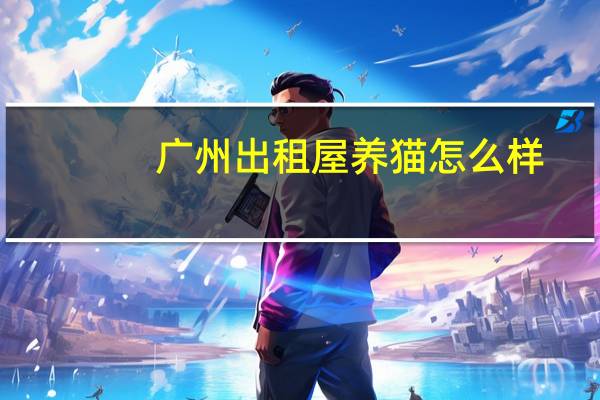 广州出租屋养猫怎么样