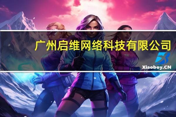 广州启维网络科技有限公司(维启网络)