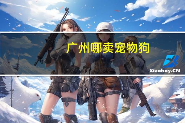 广州哪卖宠物狗