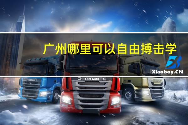 广州哪里可以自由搏击学