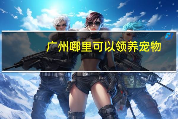 广州哪里可以领养宠物
