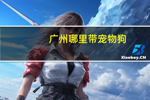 广州哪里带宠物狗