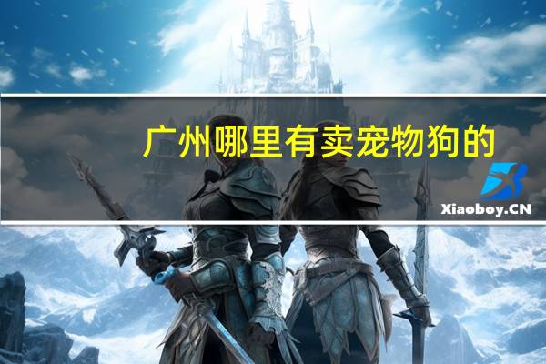 广州哪里有卖宠物狗的