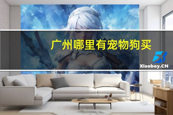 广州哪里有宠物狗买