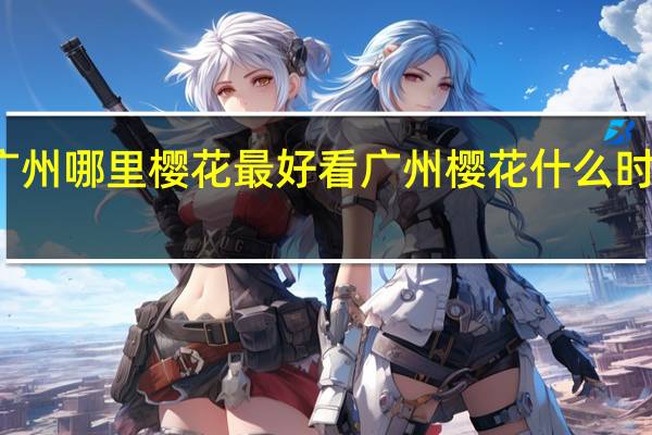 广州哪里樱花最好看 广州樱花什么时候开花
