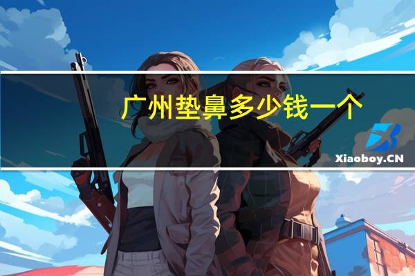 广州垫鼻多少钱一个,打针垫鼻子多少钱