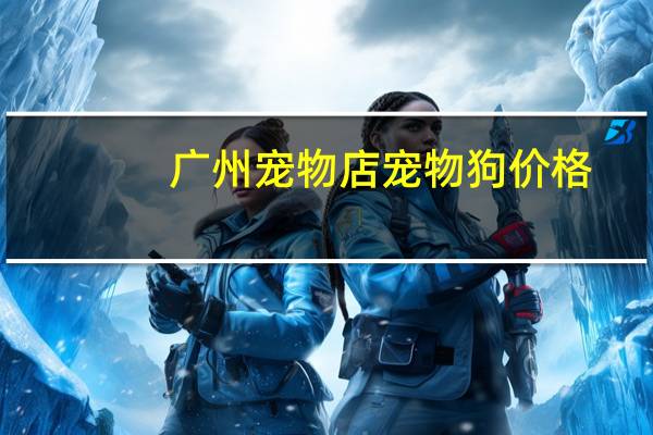 广州宠物店宠物狗价格