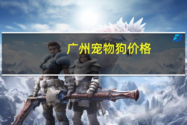 广州宠物狗价格