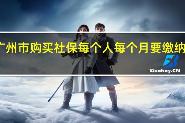 广州市购买社保每个人每个月要缴纳多少钱