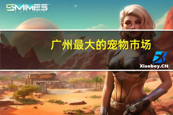 广州最大的宠物市场