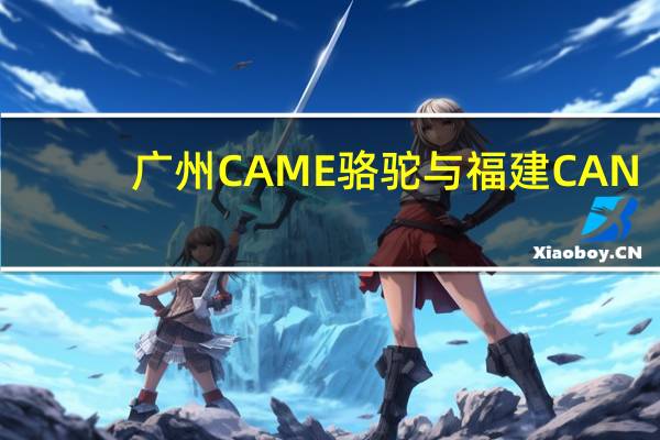 广州CAME骆驼与福建CAN-TORP骆驼哪个是真正的美国骆驼
