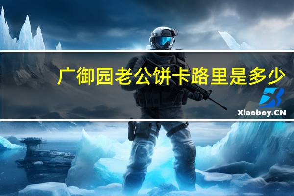 广御园 老公饼卡路里是多少