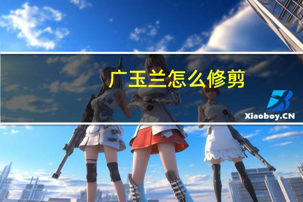 广玉兰怎么修剪