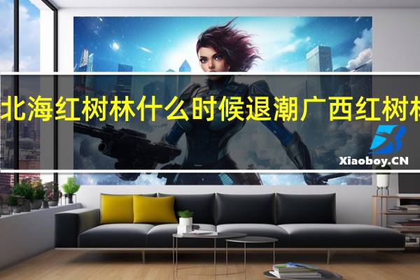 广西北海红树林什么时候退潮 广西红树林大片消失