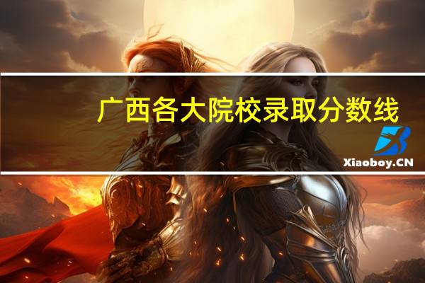 广西各大院校录取分数线
