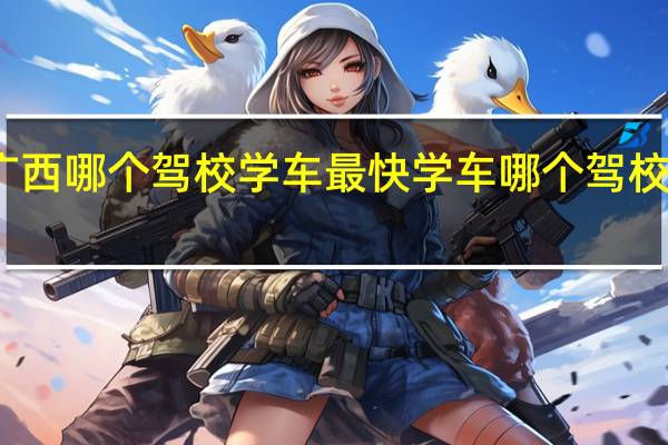广西哪个驾校学车最快 学车哪个驾校比较好