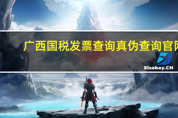 广西国税发票查询真伪查询官网（广西国税发票查询真伪查询）