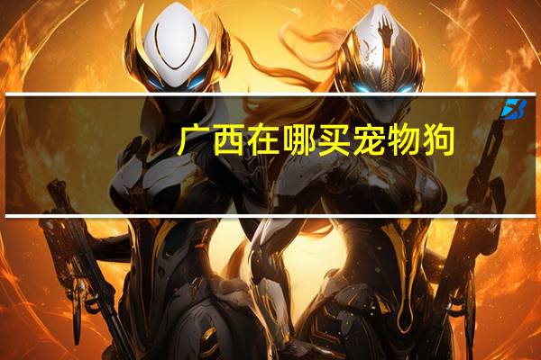 广西在哪买宠物狗