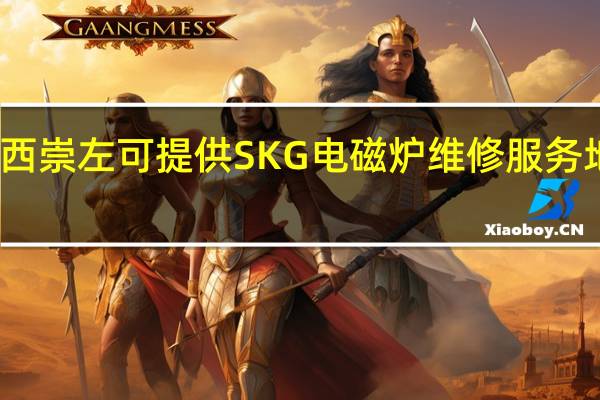 广西崇左可提供SKG电磁炉维修服务地址在哪