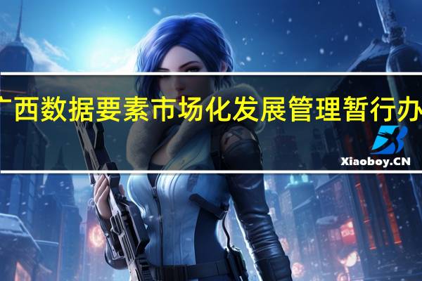 广西数据要素市场化发展管理暂行办法印发