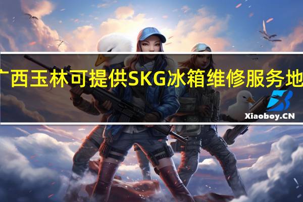 广西玉林可提供SKG冰箱维修服务地址在哪