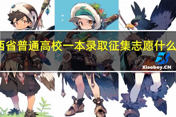 广西省普通高校一本录取征集志愿什么时候填报