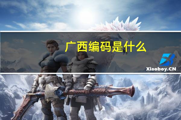 广西编码是什么