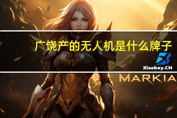 广饶产的无人机是什么牌子