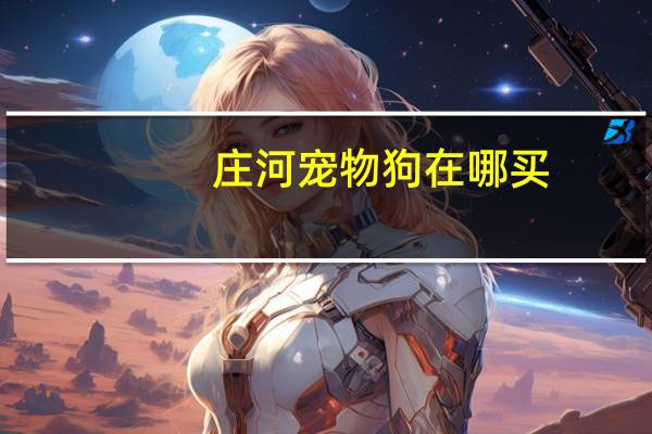 庄河宠物狗在哪买