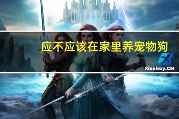 应不应该在家里养宠物狗