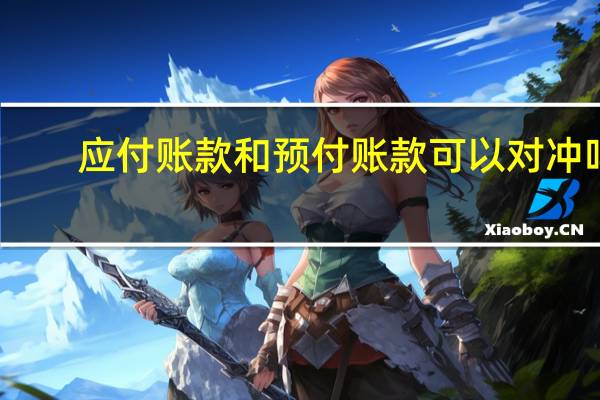应付账款和预付账款可以对冲吗（应付账款和预付账款的区别）