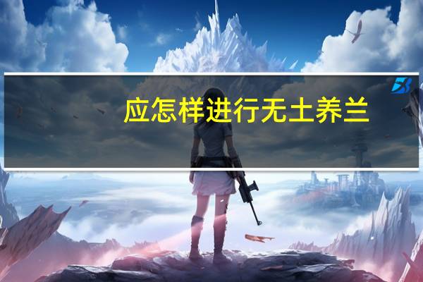 应怎样进行无土养兰