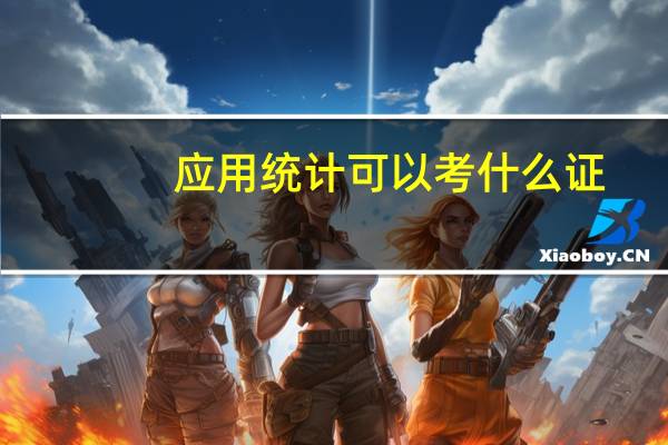 应用统计可以考什么证