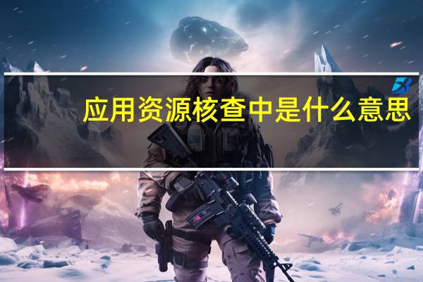 应用资源核查中是什么意思