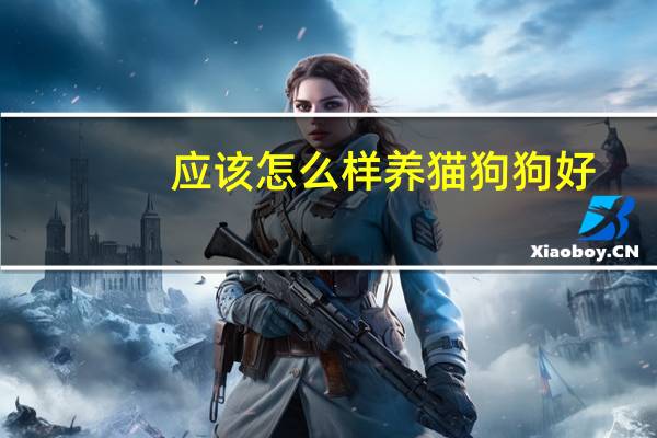 应该怎么样养猫狗狗好