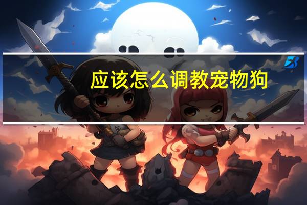 应该怎么调教宠物狗