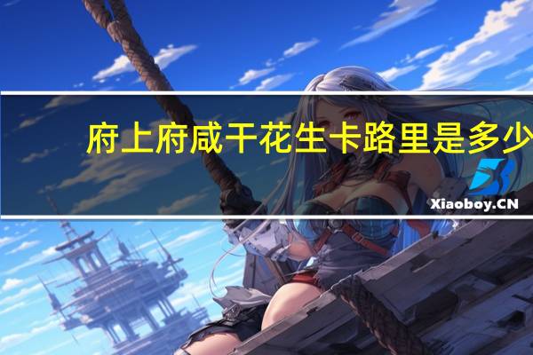 府上府 咸干花生卡路里是多少